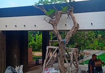 Jasa Renovasi Villa & Resort